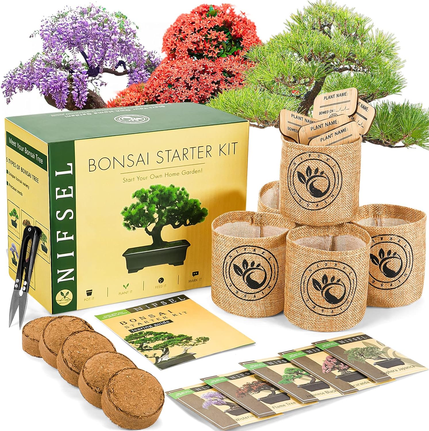 Bonsai Tree Kit Review