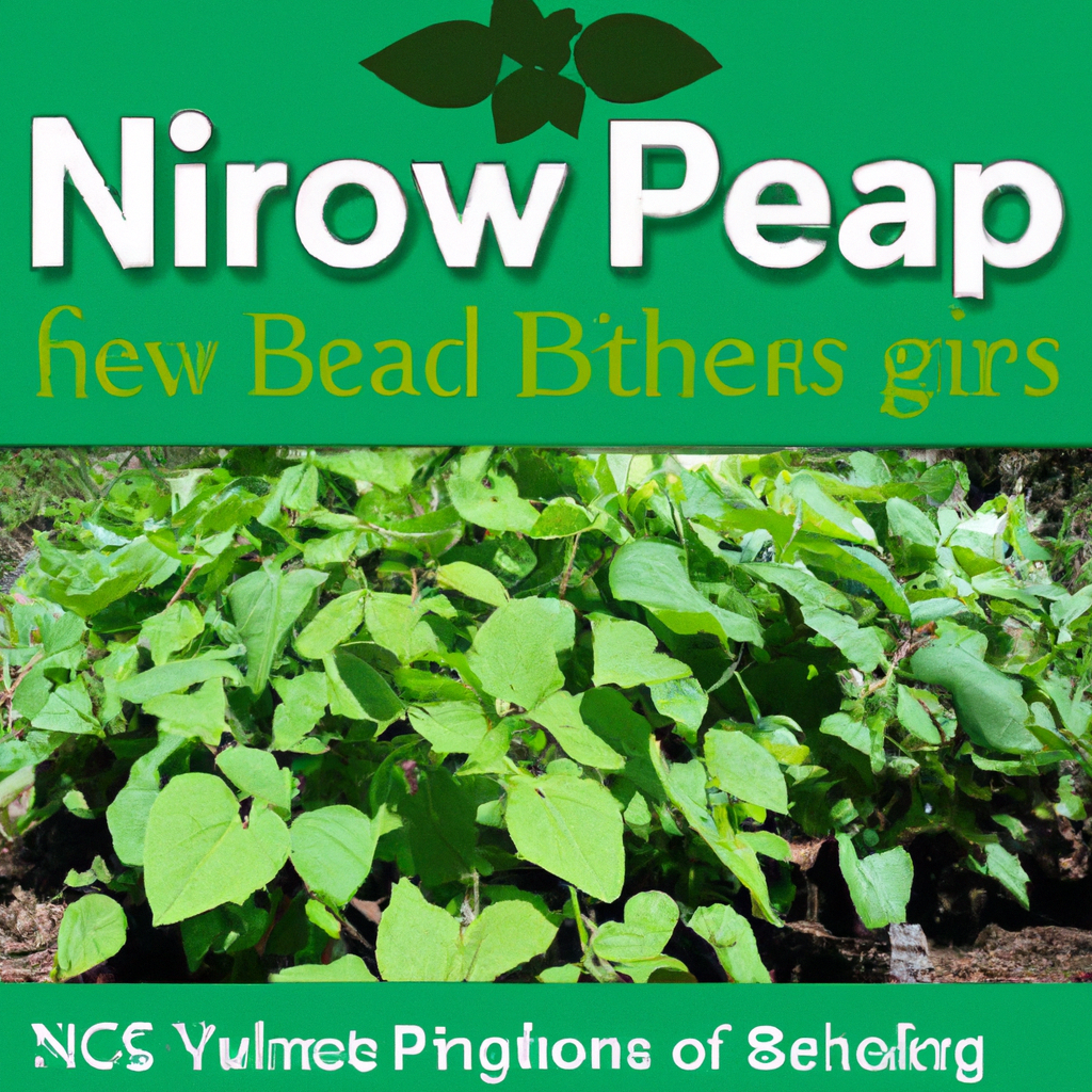 Boosting Your Vegetable Gardens Growth With Nitro Phos: A Complete Guide