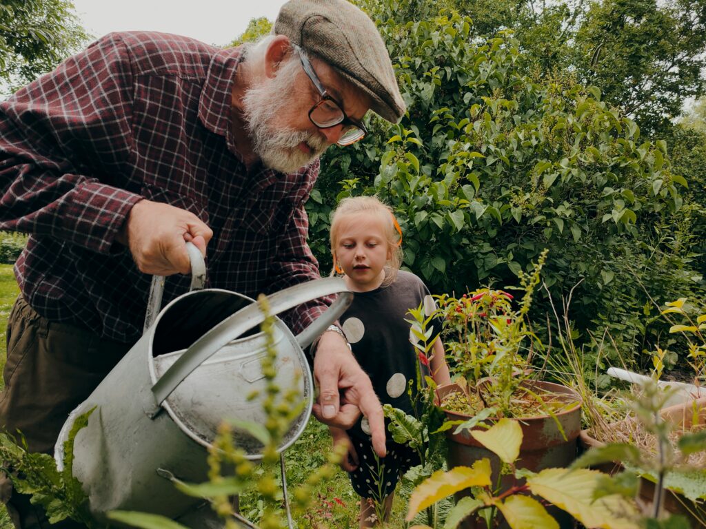 Must-Have Seeds For Every Beginner Gardener