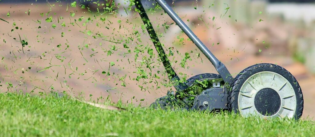 Prepping Your Lawn For Overseeding: Essential Tips And Techniques