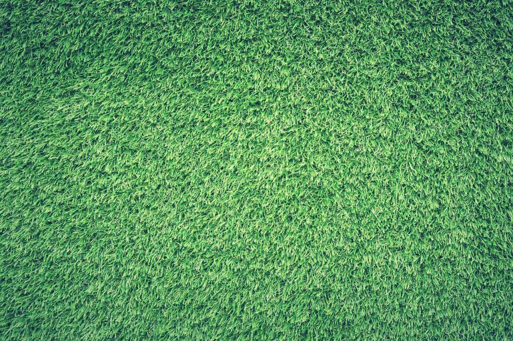 Prepping Your Lawn For Overseeding: Essential Tips And Techniques