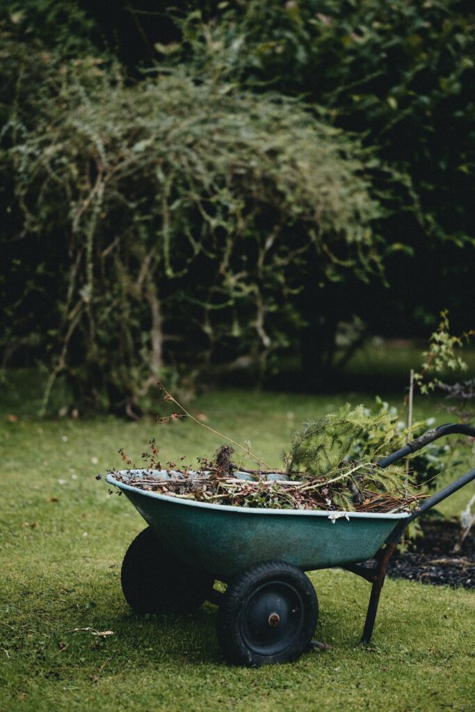 Scarifier And Aerator: Choosing The Right Tool For Your Lawns Needs