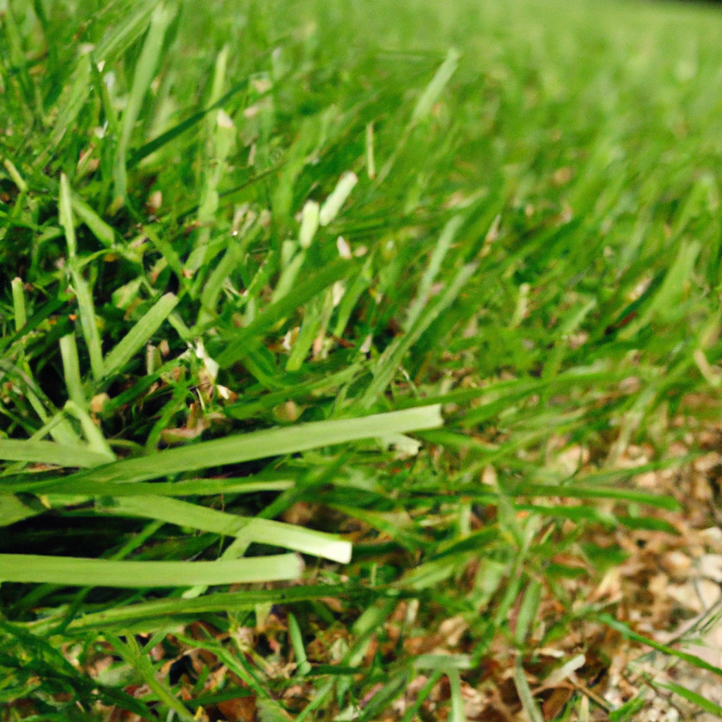 Summer Lawn Care: Finding The Perfect Mowing Frequency