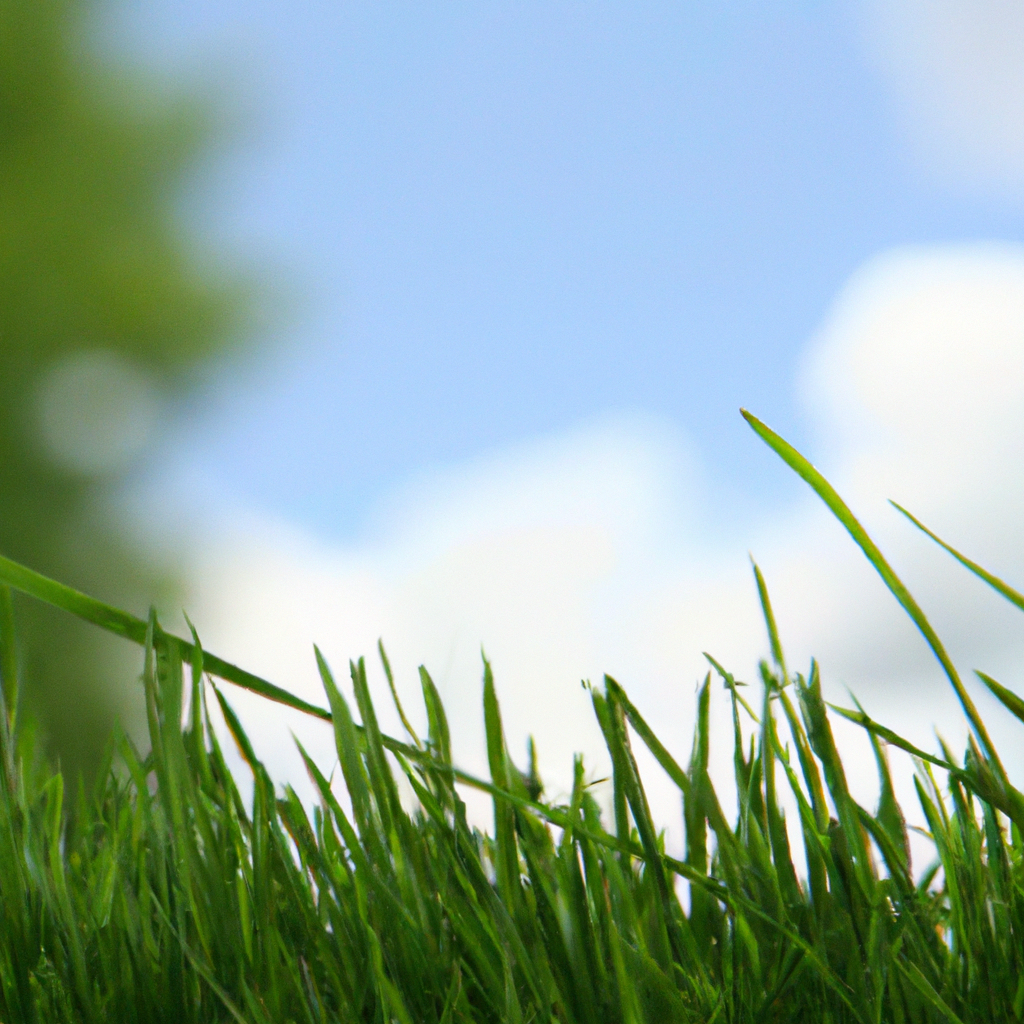 The Ultimate Guide To Growing Fast Grass: Tips And Tricks