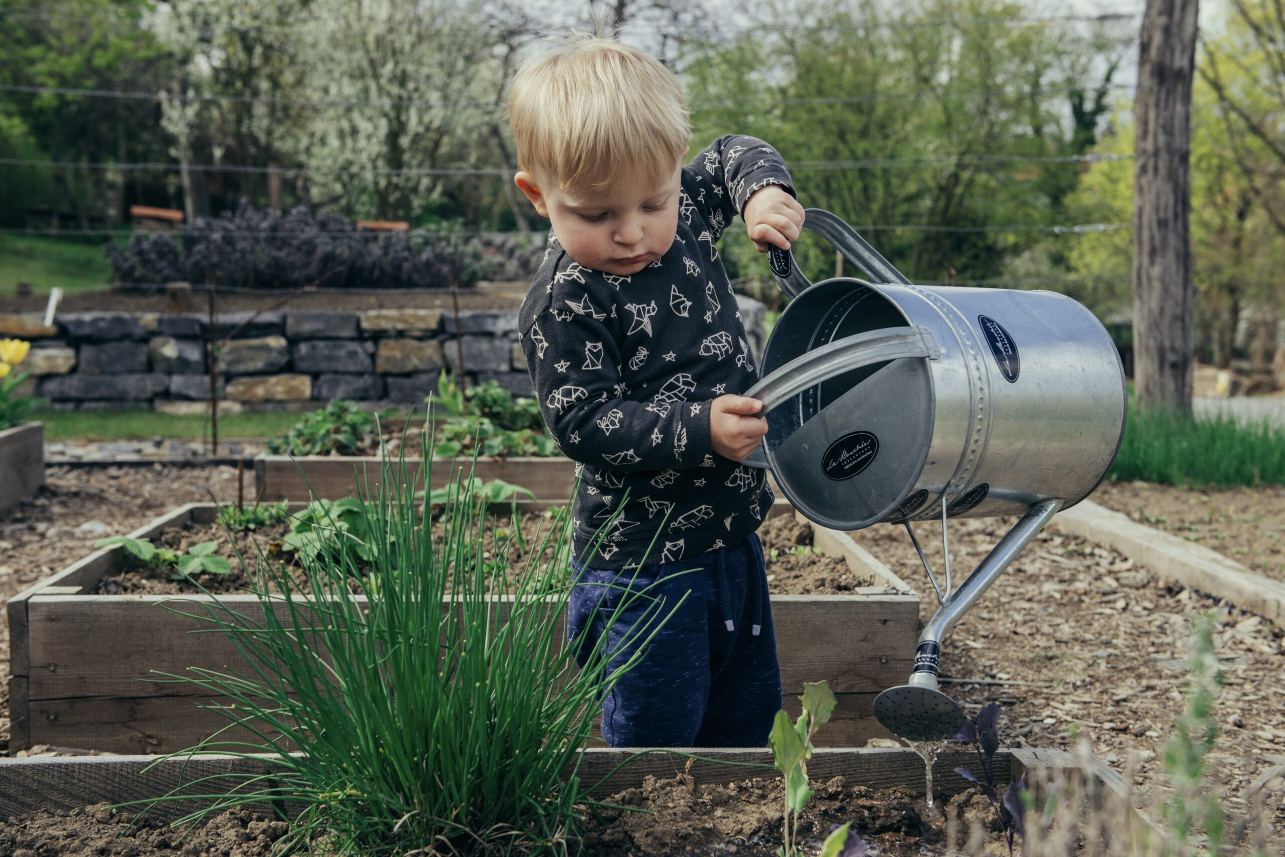 The Ultimate Guide To Growing Fast Grass: Tips And Tricks